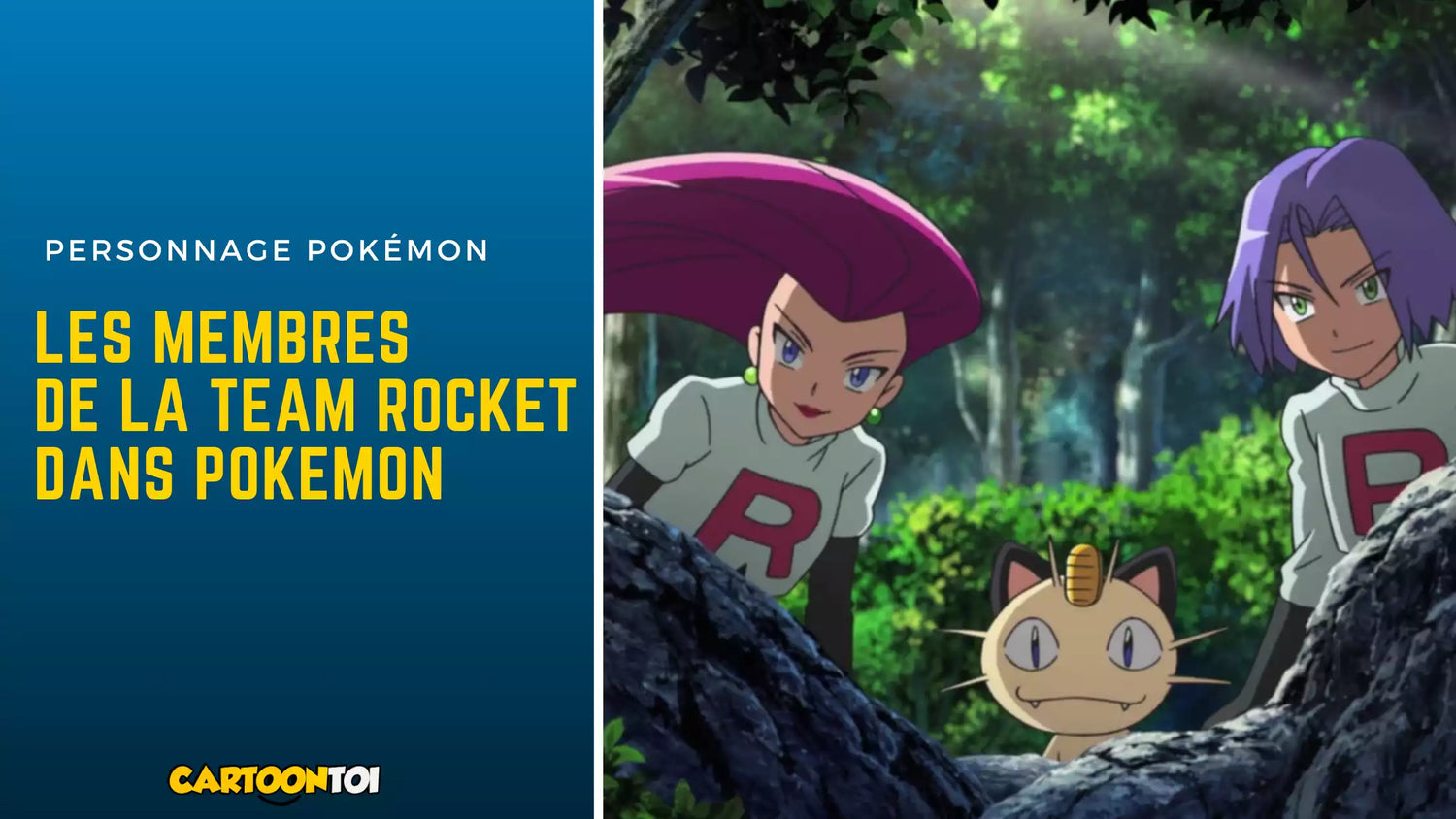les membres de la team rocket dans pokemon