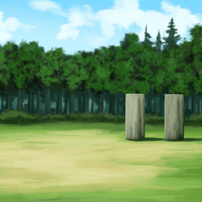 Custom Naruto Portrait